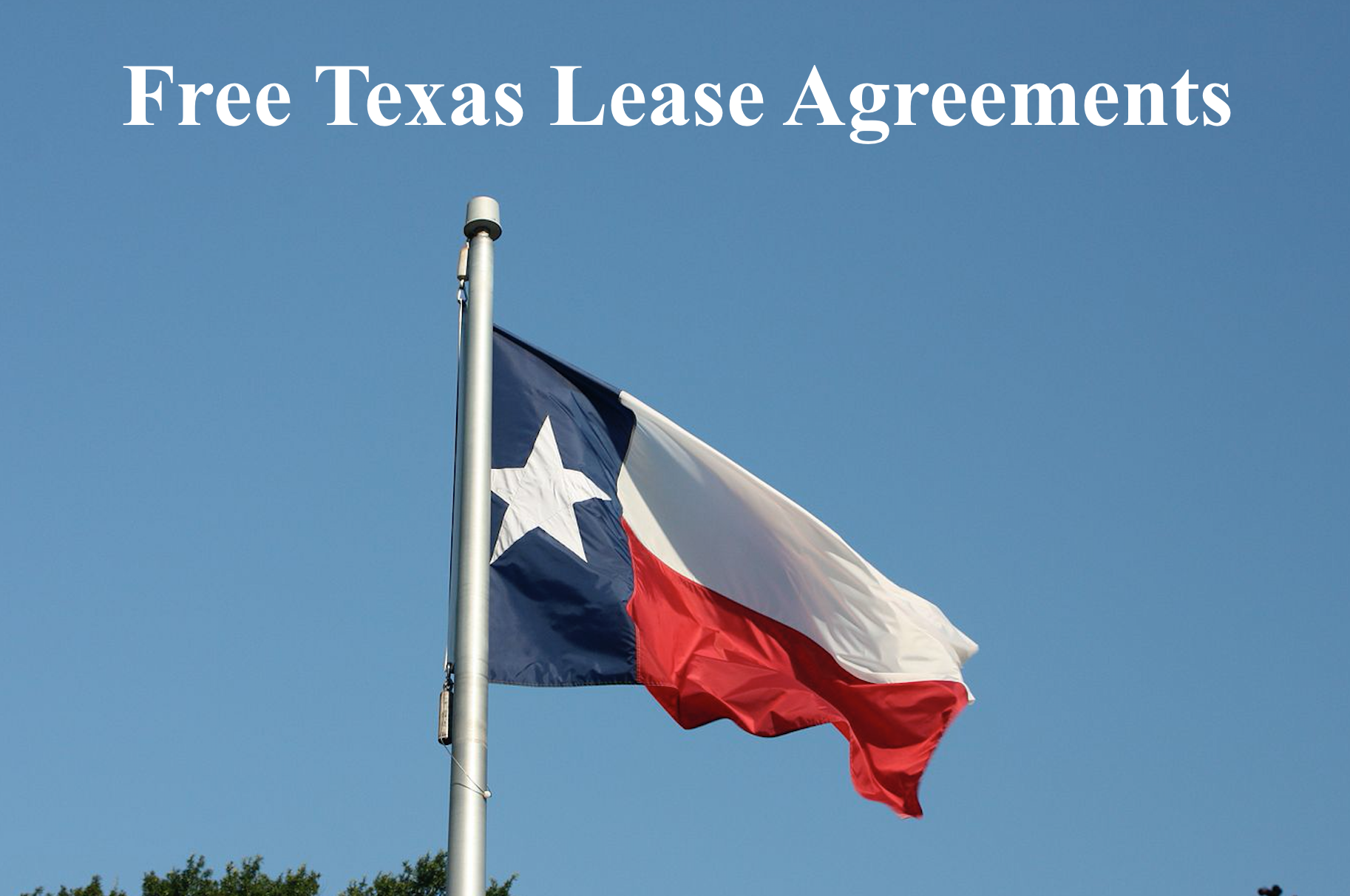 Free Texas Lease Agreements Flag