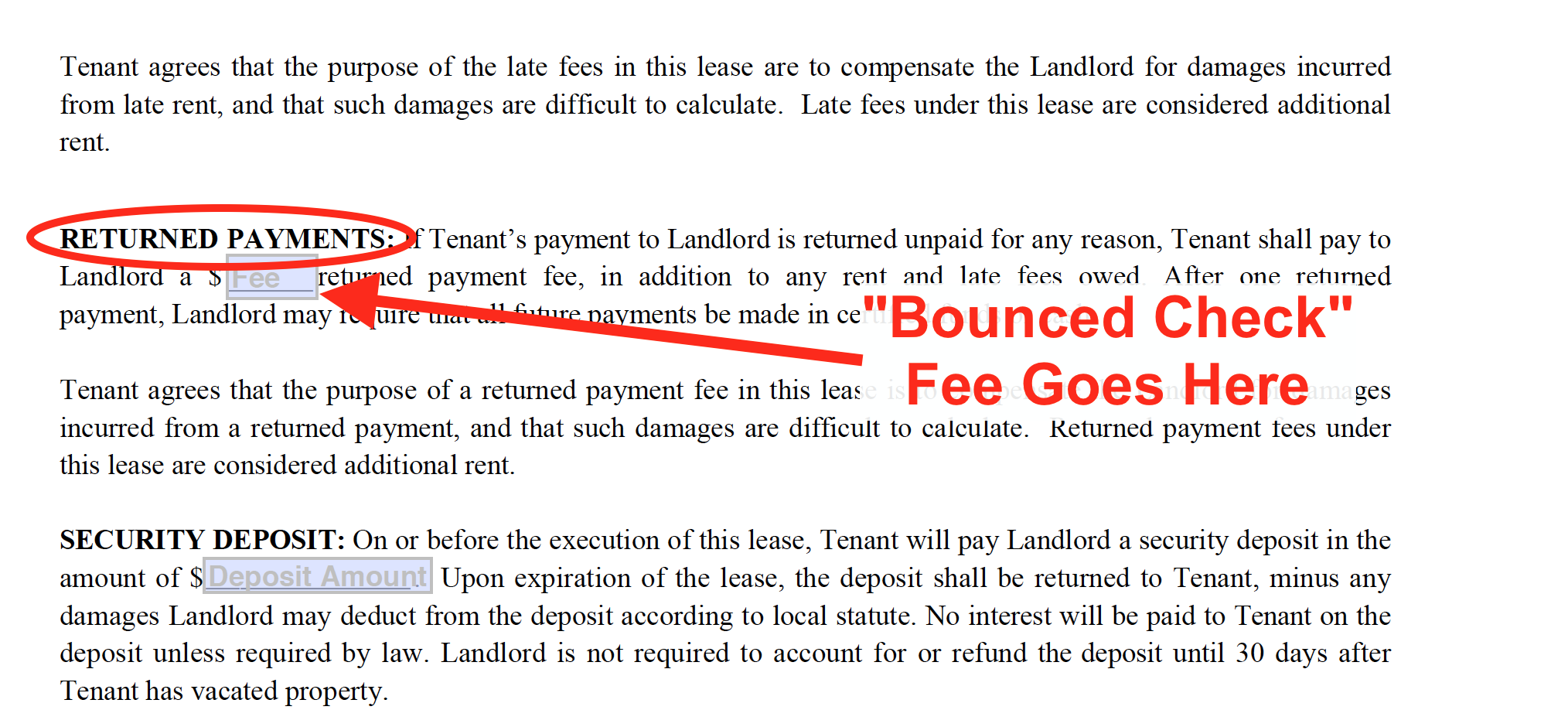 Lease Template Guide - Returned Payments