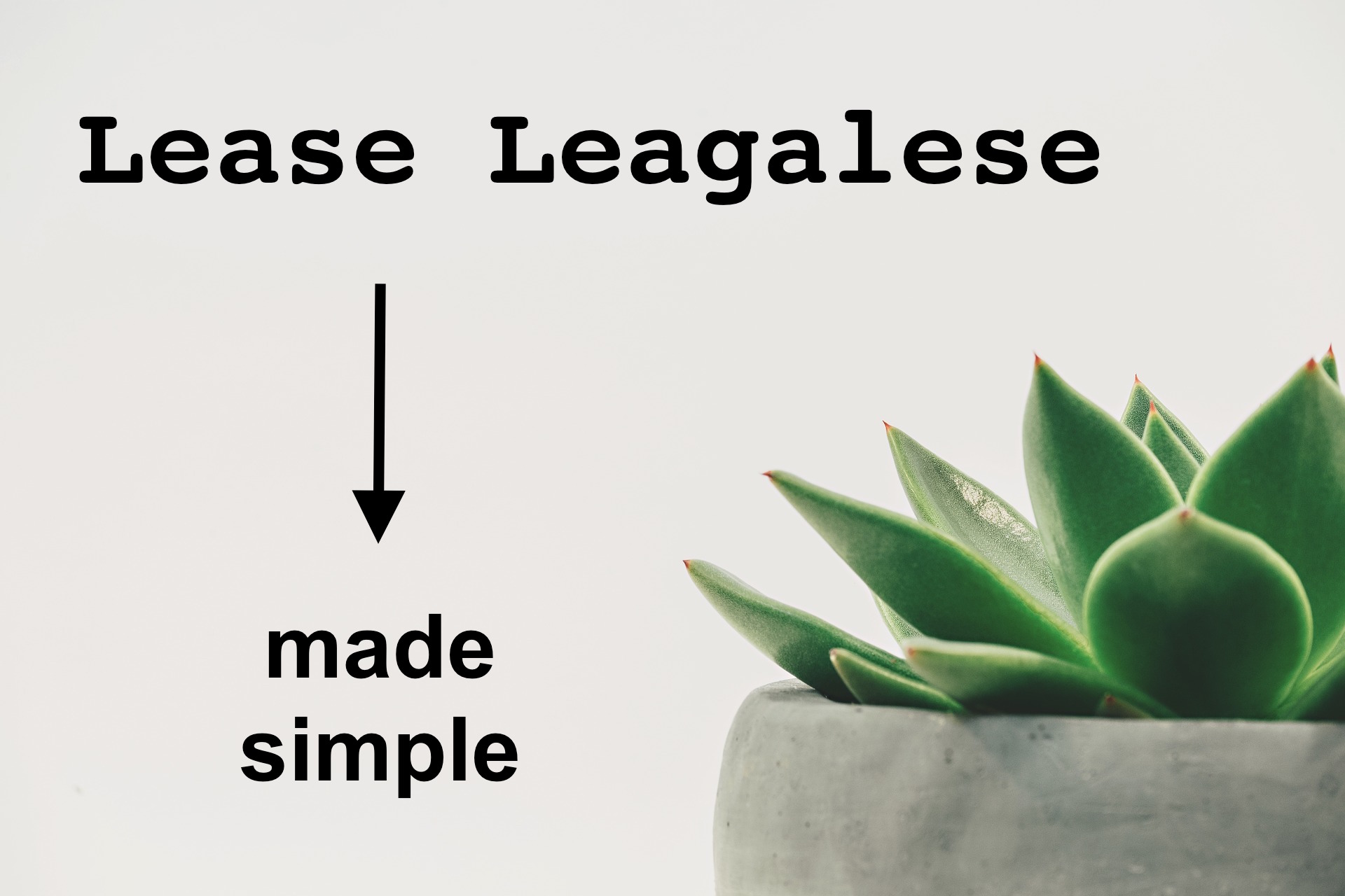 Residential Lease Language Made Simple